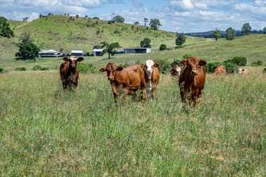 Click to view all images 'Double Knob' Nangur Road Tansey QLD 4601 - Image 1