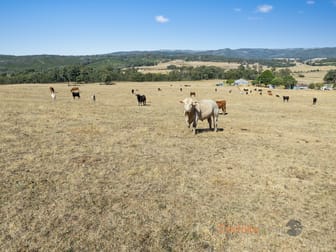 195 Willigobung Road Willigobung NSW 2653 - Image 2