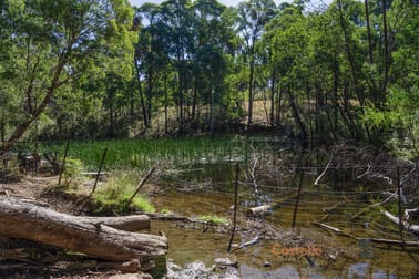 195 Willigobung Road Willigobung NSW 2653 - Image 3