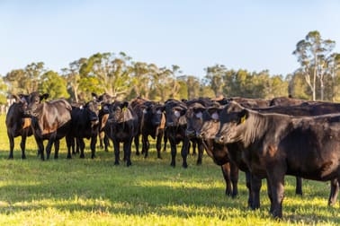 Click to view all images 115 Henrys Lane Moorland NSW 2443 - Image 2