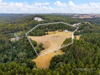 343 Tierneys Road Mengha TAS 7330 - Image 2