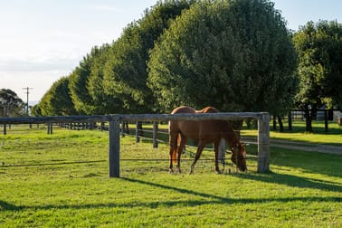 162 Ramsay School Road Ramsay QLD 4358 - Image 3