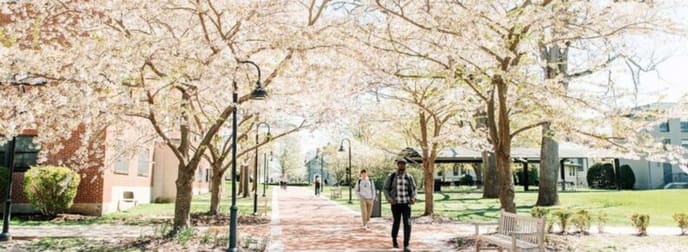 Accommodation & Tourism  business for sale in Essendon - Image 1