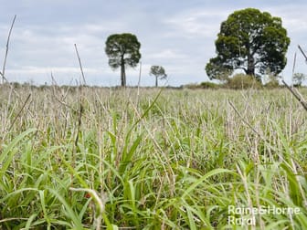 Click to view all images 1148 Nalpa Downs Road Mitchell QLD 4465 - Image 1