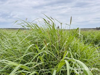 Click to view all images 1148 Nalpa Downs Road Mitchell QLD 4465 - Image 2