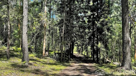 25 Dingo Gully Road Grevillia NSW 2474 - Image 1