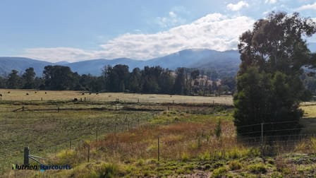 Click to view all images 811 Majors Creek Mountain Road, Araluen Araluen NSW 2622 - Image 1