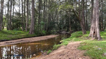 Click to view all images 811 Majors Creek Mountain Road, Araluen Araluen NSW 2622 - Image 2