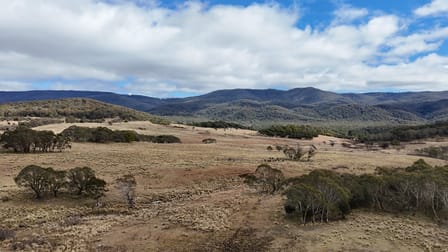 Click to view all images 102 Kain Cross Road Braidwood NSW 2622 - Image 3