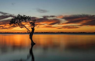 Management Rights  business for sale in Golden Beach - Image 2