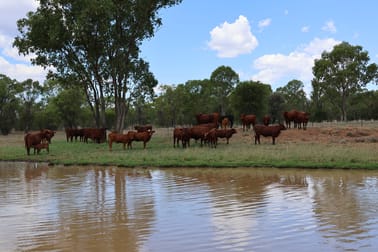 Click to view all images 3752 Mitchell Forest Vale Road Mitchell QLD 4465 - Image 3