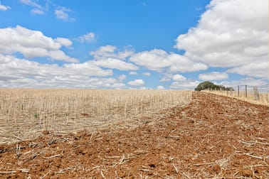 Click to view all images 3818 Lachlan Valley Way Godfreys Creek NSW 2586 - Image 3