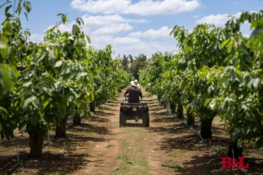 Click to view all images 7 Melrose Drive Raglan NSW 2795 - Image 1