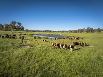 161 Hickeys Road Wongwibinda NSW 2350 - Image 1