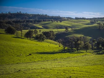 338 Fishington Road Wongwibinda NSW 2350 - Image 2