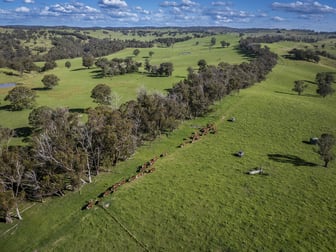 338 Fishington Road Wongwibinda NSW 2350 - Image 3