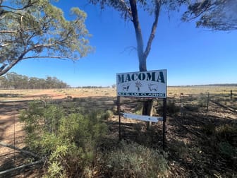 Click to view all images 603 Charcoal Tank Road West Wyalong NSW 2671 - Image 1