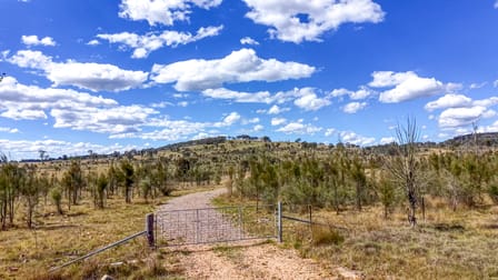 Lot 570 Tarban Road Tenterfield NSW 2372 - Image 2
