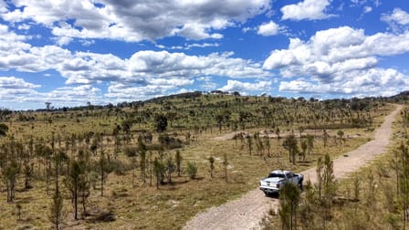 Lot 570 Tarban Road Tenterfield NSW 2372 - Image 3