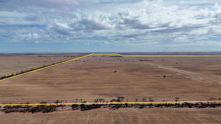 Lavinia Downs/523 Frost Road Alford SA 5555 - Image 1