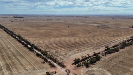 Lavinia Downs/523 Frost Road Alford SA 5555 - Image 2