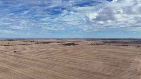 Lavinia Downs/523 Frost Road Alford SA 5555 - Image 3