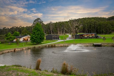 Click to view all images 532 Jilliby Road Jilliby NSW 2259 - Image 1