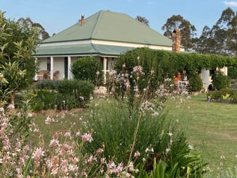 1115 Warwick Yangan Road Swan Creek QLD 4370 - Image 1