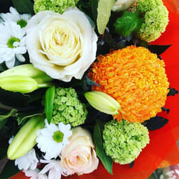 Florist / Nursery  business for sale in Oakleigh - Image 2