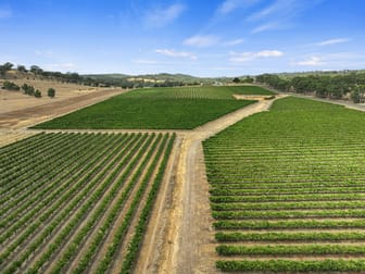 285 Neagles Rock Road Clare SA 5453 - Image 1