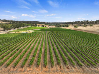 285 Neagles Rock Road Clare SA 5453 - Image 2