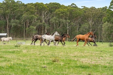 489 Nowra Road Moss Vale NSW 2577 - Image 1