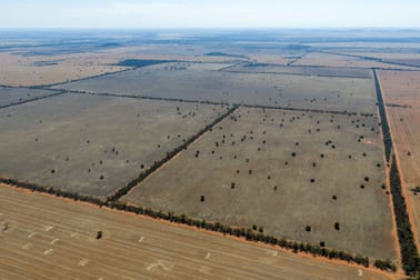 83 Cornells Road Condobolin NSW 2877 - Image 2