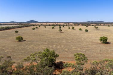 83 Cornells Road Condobolin NSW 2877 - Image 3