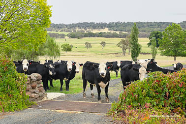 "Langleigh" 14503 Thunderbolts Way Walcha NSW 2354 - Image 2