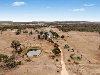 1920 Castlereagh Highway Dunedoo NSW 2844 - Image 1