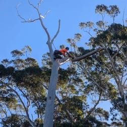 Garden & Household  business for sale in Gosford - Image 1