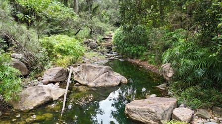 3 Dalton Road Mount Berryman QLD 4341 - Image 2