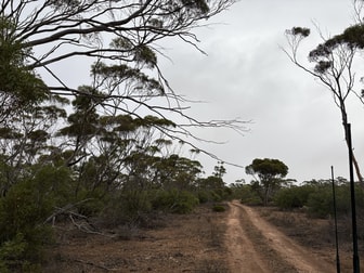 Lot 104 Cant Road Kimba SA 5641 - Image 1