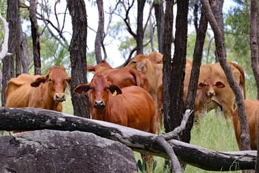 8362 Dawson Highway Dumgree QLD 4715 - Image 2