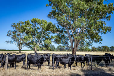 524 Bool Lagoon West Road Bool Lagoon SA 5271 - Image 2