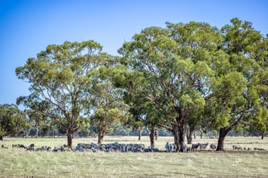 524 Bool Lagoon West Road Bool Lagoon SA 5271 - Image 1