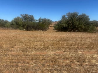 Lot 1 Giles Road Moonyoonooka WA 6532 - Image 2