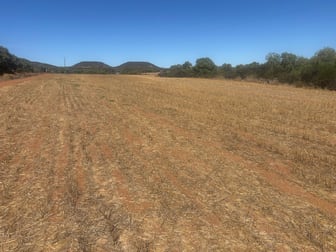 Lot 1 Giles Road Moonyoonooka WA 6532 - Image 3