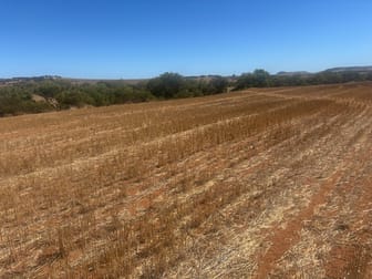 Lot 1 Giles Road Moonyoonooka WA 6532 - Image 1