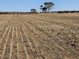 Lot 2 Fotheringhame Road Jilakin WA 6365 - Image 1