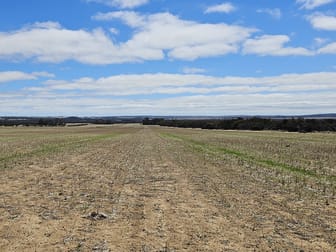 Lot 2 Fotheringhame Road Jilakin WA 6365 - Image 3