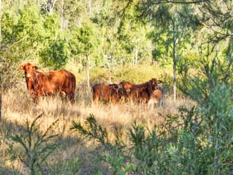 Click to view all images 1198 Kavanaghs Road Buaraba QLD 4311 - Image 2