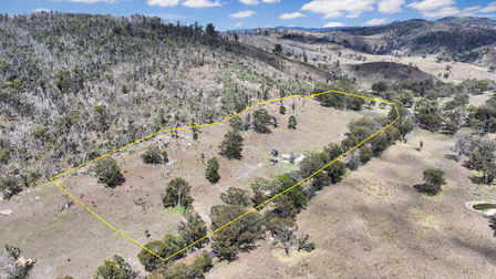 692 Billirimba Road Tenterfield NSW 2372 - Image 1