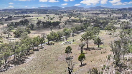 692 Billirimba Road Tenterfield NSW 2372 - Image 3
